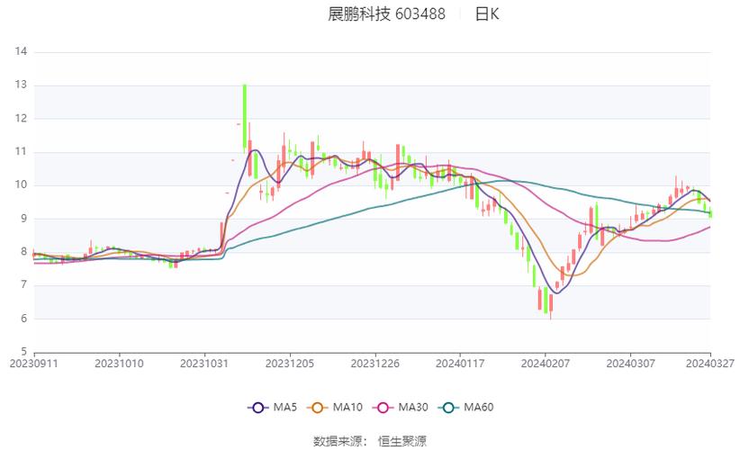 展鹏科技资金情况分析与建议