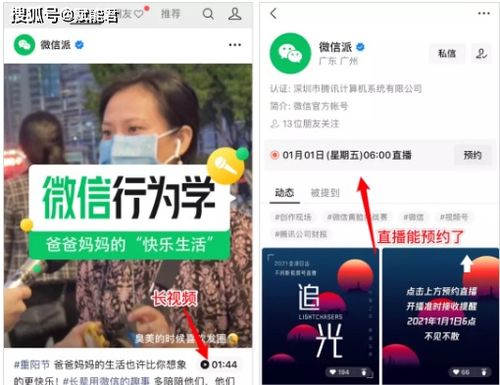 小薇直播手机安卓版下载安装
