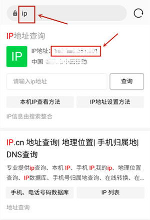 如何查询手机IP地址 如何查询手机IP地址