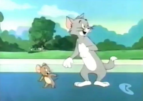 模仿猫和老鼠的动画片 模仿猫和老鼠的动画片