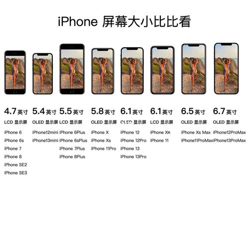 怎么看手机屏幕大小尺寸 怎么看手机屏幕大小尺寸