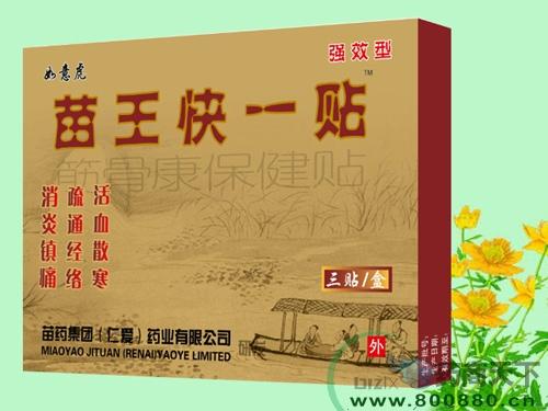 苗王药膏主治什么