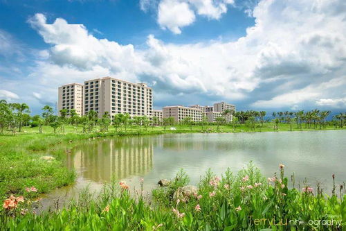 湛江科技学院专插本学费 湛江科技学院专插本学费
