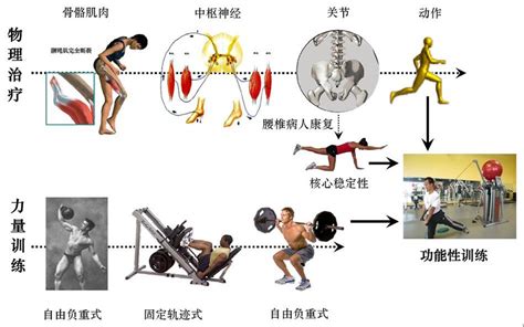 体育的基本主要功能有哪些 体育的基本主要功能有哪些