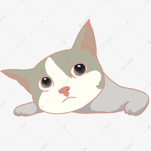 哇卡小猫钓鱼全集 哇卡小猫钓鱼全集