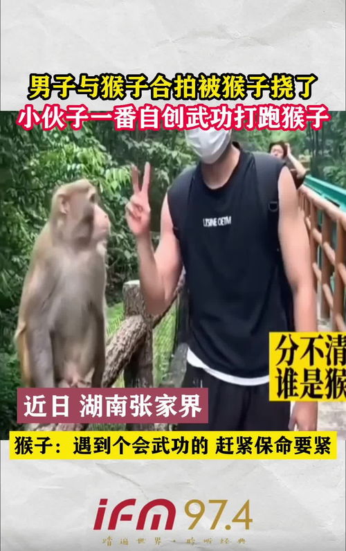 黑猴网络科技学院 黑猴网络科技学院