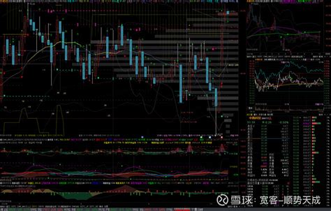 深圳雪球科技公司是干嘛的