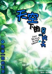 华夏天空小说网官网