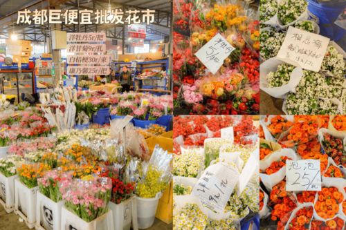 鲜花多少钱一束有多少枝花 鲜花多少钱一束有多少枝花