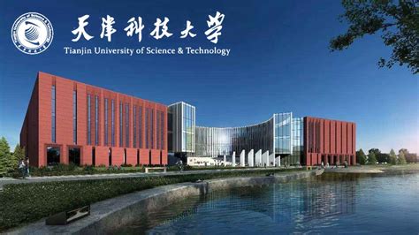 天津科技大学滨海占地面积