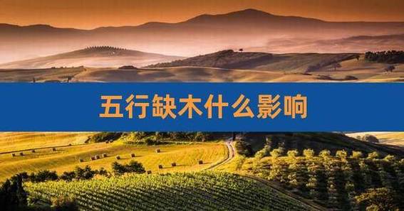昭康大健康管理有限公司 昭康大健康管理有限公司