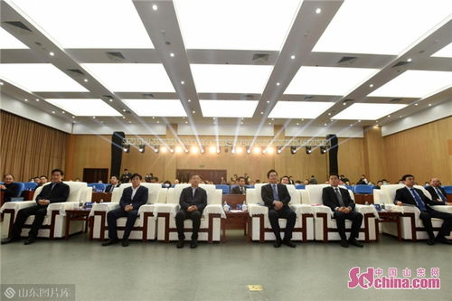 山东隆犇科技有限公司