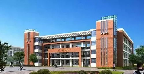 南方科技大学数学专业考研 南方科技大学数学专业考研