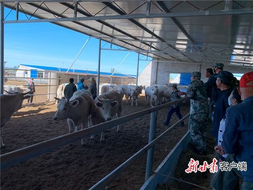 瓜牛乐园怎么样 瓜牛乐园怎么样