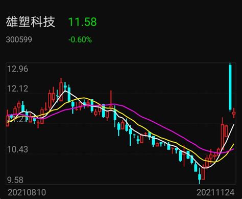 雄塑科技2021业绩 雄塑科技2021业绩