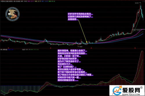 清鹤科技股票 清鹤科技股票