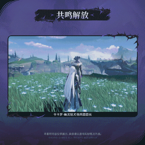 鸣潮新手卡池深度解析谁是你的冒险之星？
