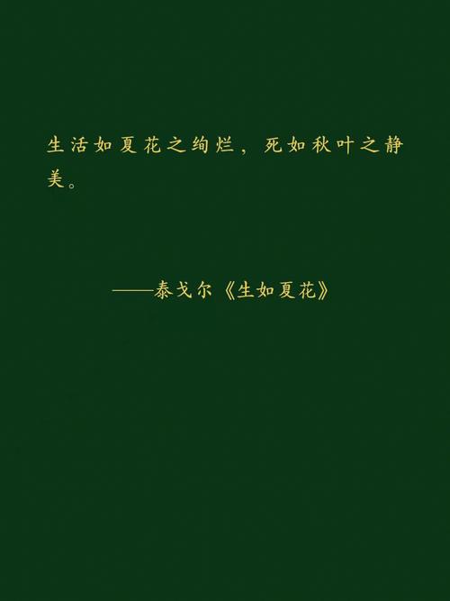 7问题晚点的期末季也可以用上我这种英专生的福音927515当然了 7问题晚点的期末季也可以用上我这种英专生的福音927515当然了