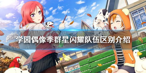 学园偶像大师全攻略游戏下载、网络优化与流畅体验指南 学园偶像大师全攻略游戏下载、网络优化与流畅体验指南
