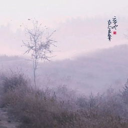 此生三愿 家人平安 岁月静好 天真依旧 此生三愿 家人平安 岁月静好 天真依旧