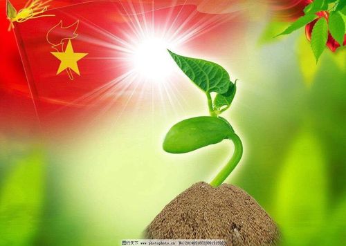 龙途天下折扣平台国战征途中的绿色品质押运策略 龙途天下折扣平台国战征途中的绿色品质押运策略