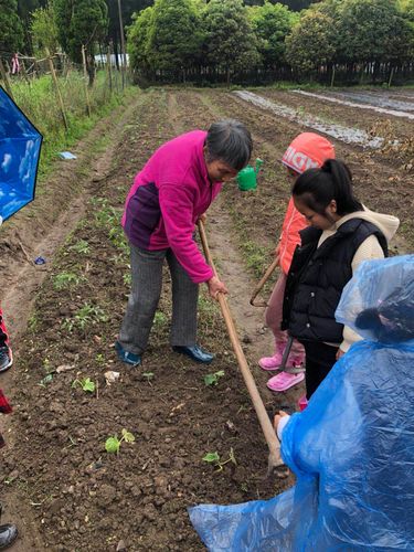 农场种菜的方法大全 农场种菜的方法大全