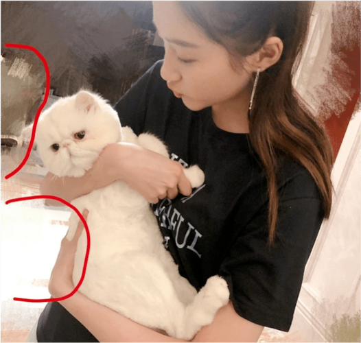 隐私侵犯与公众人物当约会成为焦点