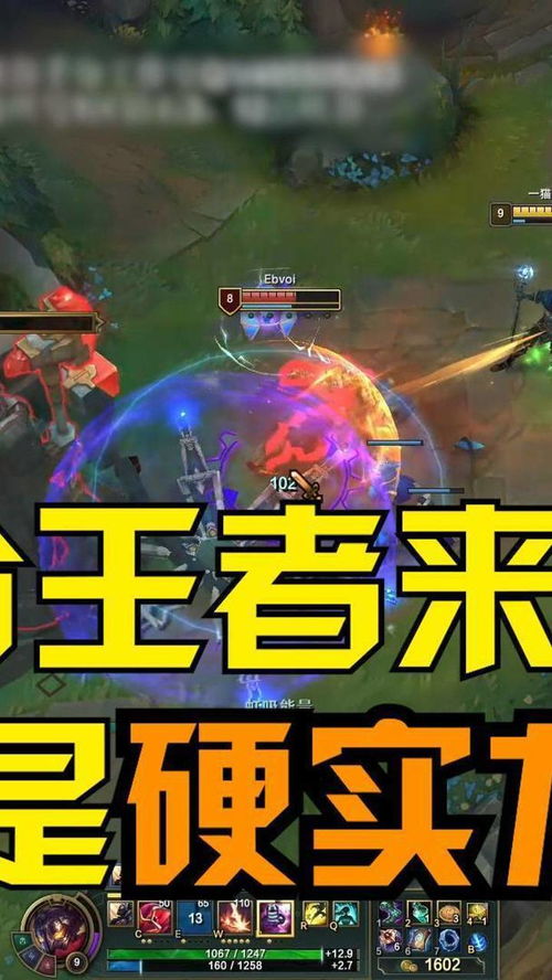 背景与意义 背景与意义