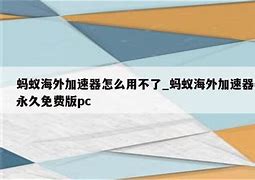 蚂蚁海外加速器永久免费版工作总结 蚂蚁海外加速器永久免费版工作总结