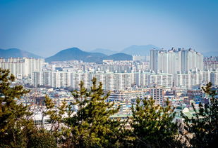 模拟城市3000，构筑未来之城的奇妙之旅