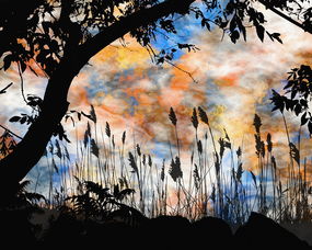 深度解析,臭作全CG存档——解锁隐藏的艺术与剧情 深度解析,臭作全CG存档——解锁隐藏的艺术与剧情