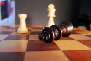 象棋协会，终身禁赛王天一、另一人，重塑规则与公平竞赛精神