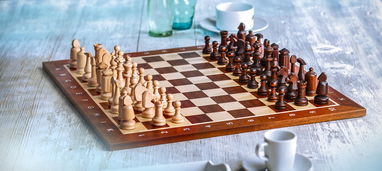 象棋协会,终身禁赛王天一、另一人,重塑规则与公平竞赛精神 象棋协会,终身禁赛王天一、另一人,重塑规则与公平竞赛精神