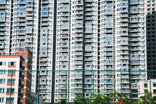 楼市新政密集落地，房东涨价现象背后的深度解读