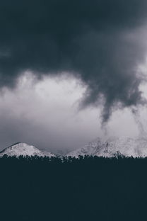 钻地鼠龙族,深邃地底的神秘生物与无尽探索 钻地鼠龙族,深邃地底的神秘生物与无尽探索