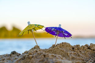 夏日回忆,在那年夏天宁静的海伴奏中唤醒的游戏情感 夏日回忆,在那年夏天宁静的海伴奏中唤醒的游戏情感