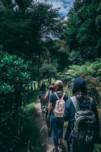 梦想世界科举探秘，穿越古代的智慧之旅