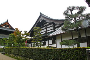 智利女网红在日本神社展现引体向上力量