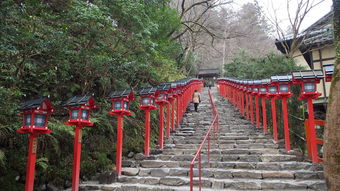 日本首相石破茂向靖国神社供奉祭品，历史、争议与前景分析