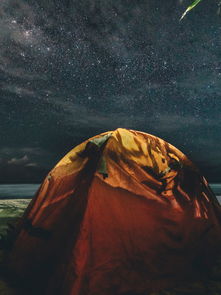 探索星海,策略为王——深度解析星际争霸的魅力与战略艺术 探索星海,策略为王——深度解析星际争霸的魅力与战略艺术