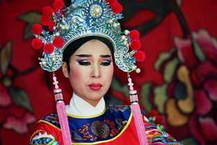 十二金钗的魅力,红楼梦中的女性肖像画 十二金钗的魅力,红楼梦中的女性肖像画