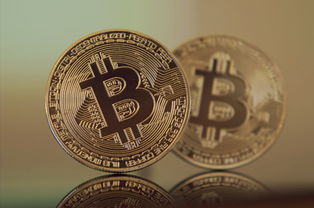 揭秘金价波动背后的逻辑,黄金投资的神秘面纱 揭秘金价波动背后的逻辑,黄金投资的神秘面纱