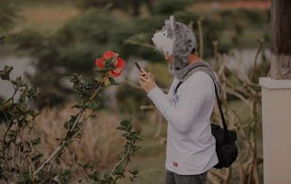 杨妞花,一直在等待人贩被判处死刑的日子 杨妞花,一直在等待人贩被判处死刑的日子