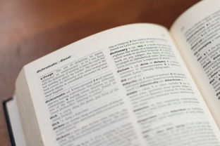 义务教育教科书，塑造未来的知识砖石