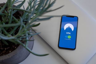 vivo手机软件隐藏技巧，保护隐私与提升效率的秘籍
