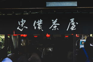 趣闻直播，探索游戏世界的新视角，一键下载体验互动娱乐新纪元